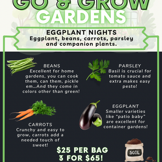 Eggplant Nights Go & Grow Garden Bag from Brown Girls Garden