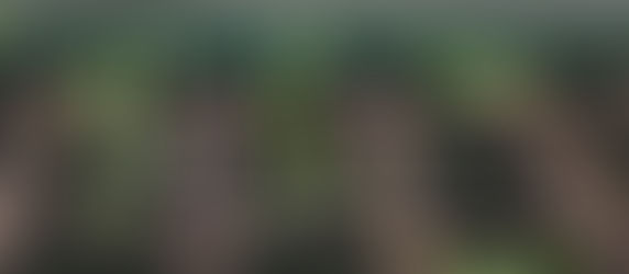 Additional Resources