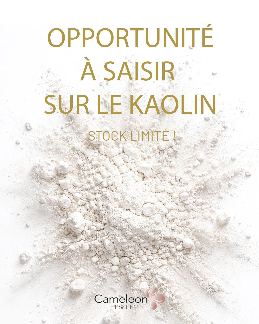 CE-P113 / Kaolin Blanc neige (25Kg)