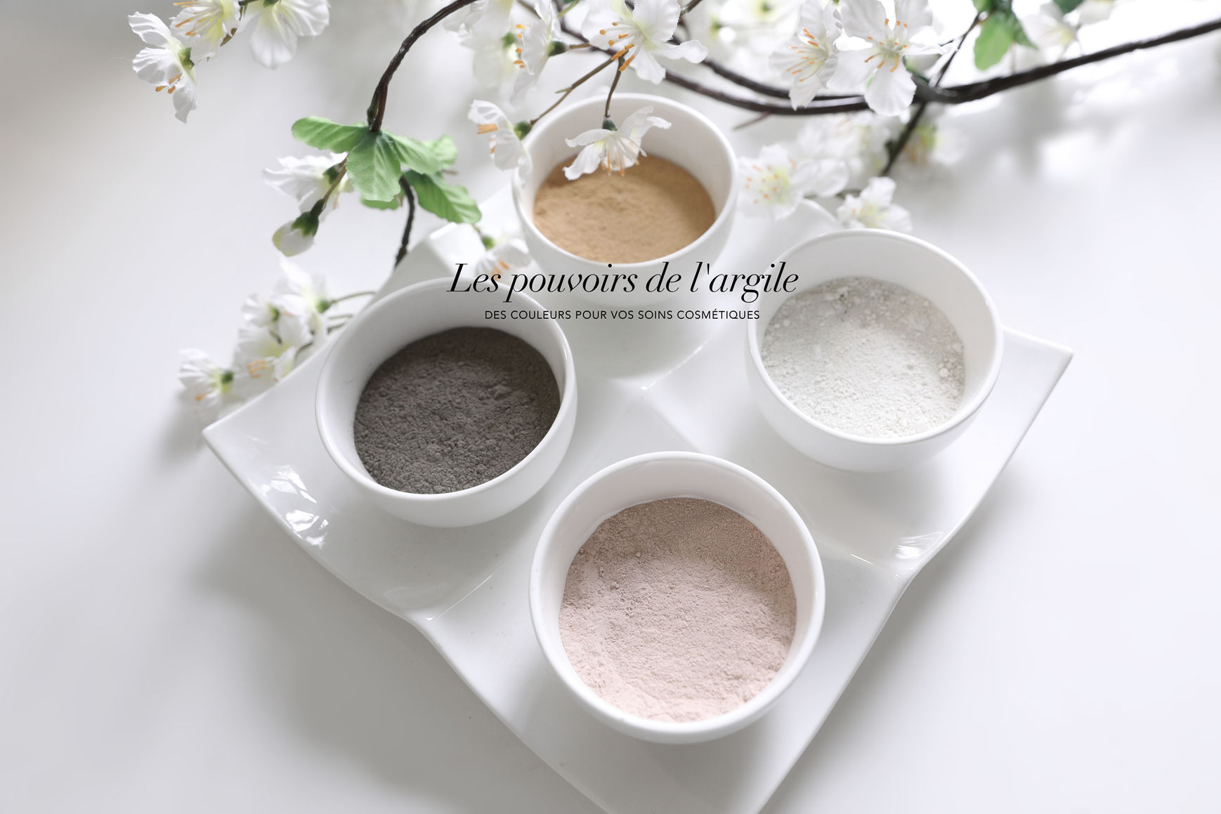 VISUEL - LES POUVOIRS DE L ARGILE copie.jpg