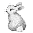 respectons les animaux