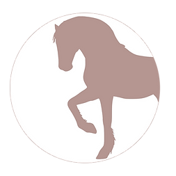 Icone rond Détergence copie.png