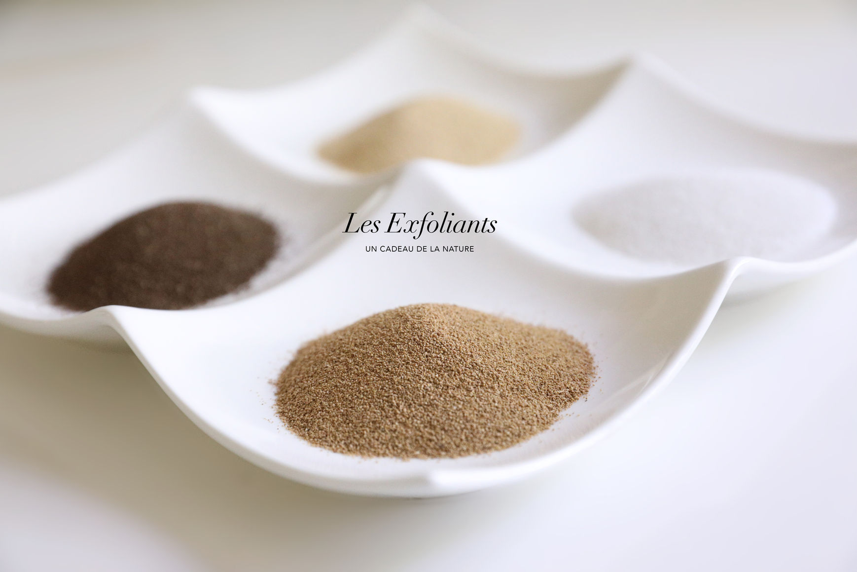VISUEL - LES EXFOLIANTS copie.jpg