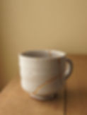 DSC02572.JPG
