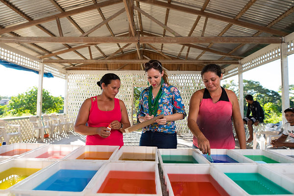 social-impact-AMADEU-materials.jpg