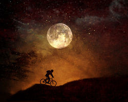 istockphoto-1178854443-170667a