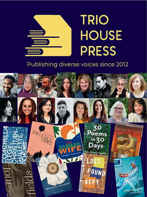 Publishing diverse voices since 2012.pdf(2).png