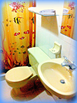 baño habitación 1