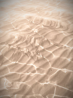 petits poissons plage La Ciotat_edited_edited.jpg