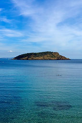 ile verte.jpg