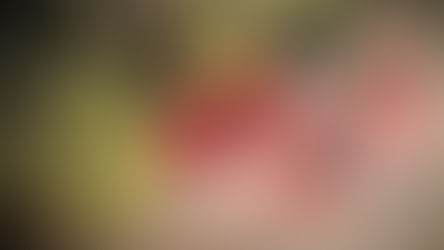 BRIVAC lança campanha de arrecadação de fundos para capacitação em comunidades rurais de Goiás