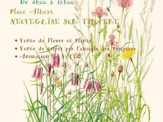 Foire aux fleurs
