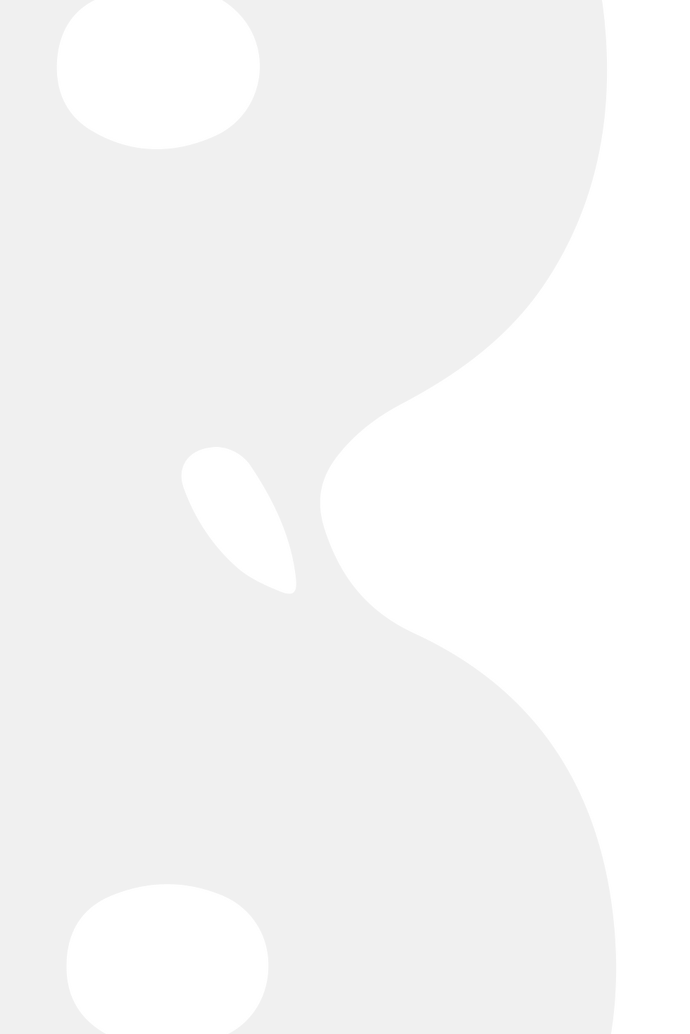 דודל שקוף לאורך.png