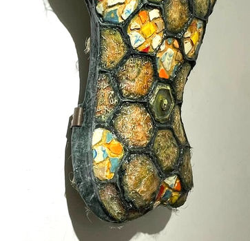 Turtle_R side full.jpg