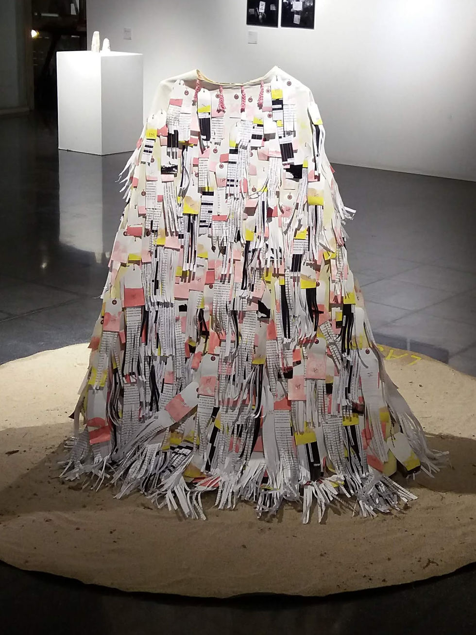 The Cape Act on display at f-Art 2019, back