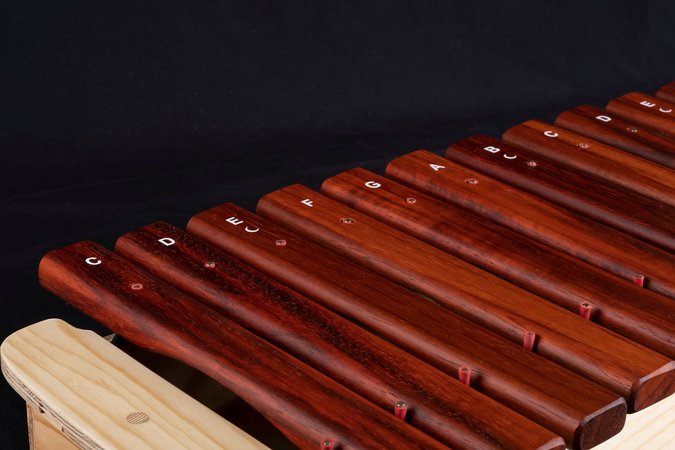 Küçük resim: Makam Bar Set - Soprano