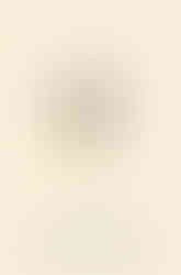 Image of Book Cover for Knife by Salman Rushdie