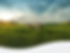 back-header-cows2.jpg