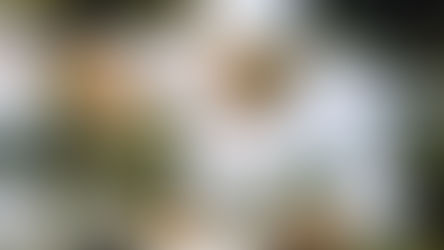 למה שף פרטי צריך אתר אינטרנט?