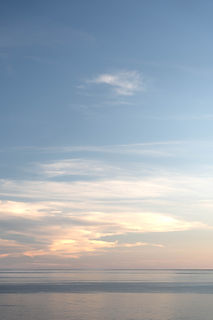 NZ-7402303.jpg