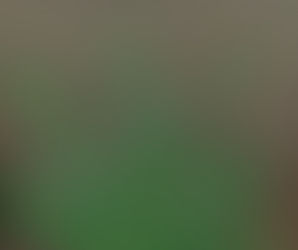 ゴールデンウイーク