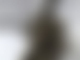 アトリエゆうサマーセミナー