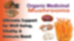 Mushrooms banner