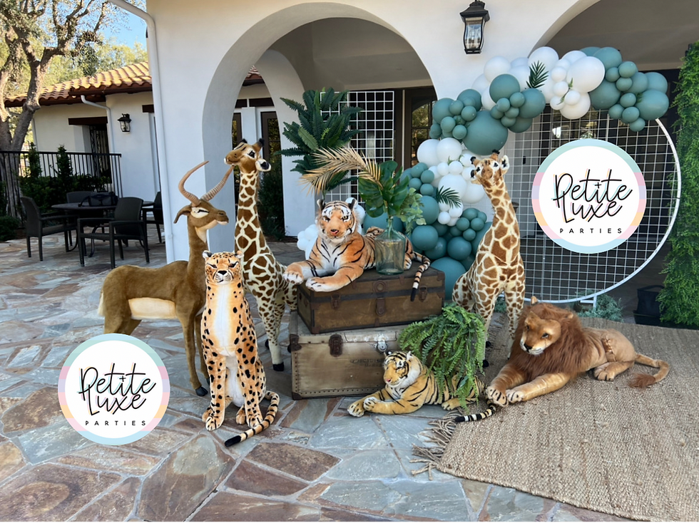 Safari Animal Pack of 3