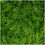 Thumbnail: Wild Grass Wall Backdrop