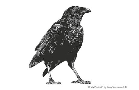 HUGINN & MUNINN 