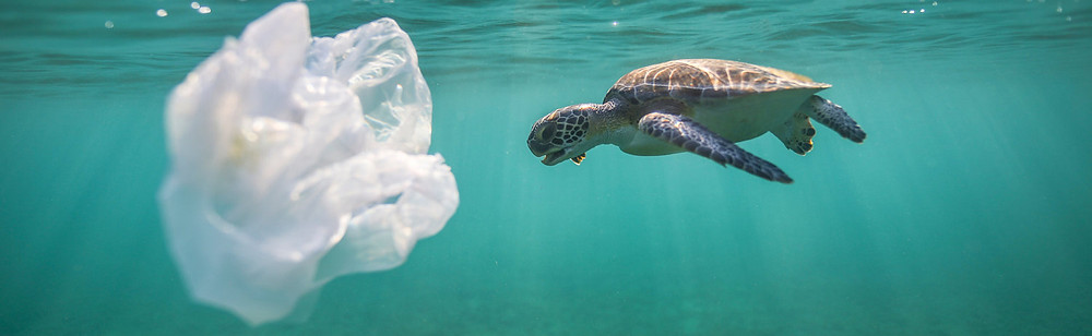 Plastic solution in the ocean