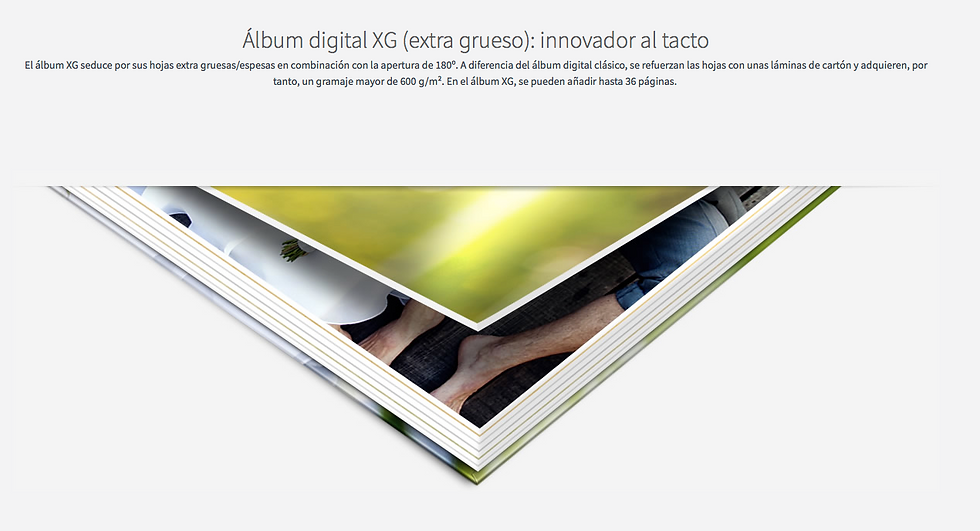 Miniatura: PHOTOBOOK PROFESIONAL