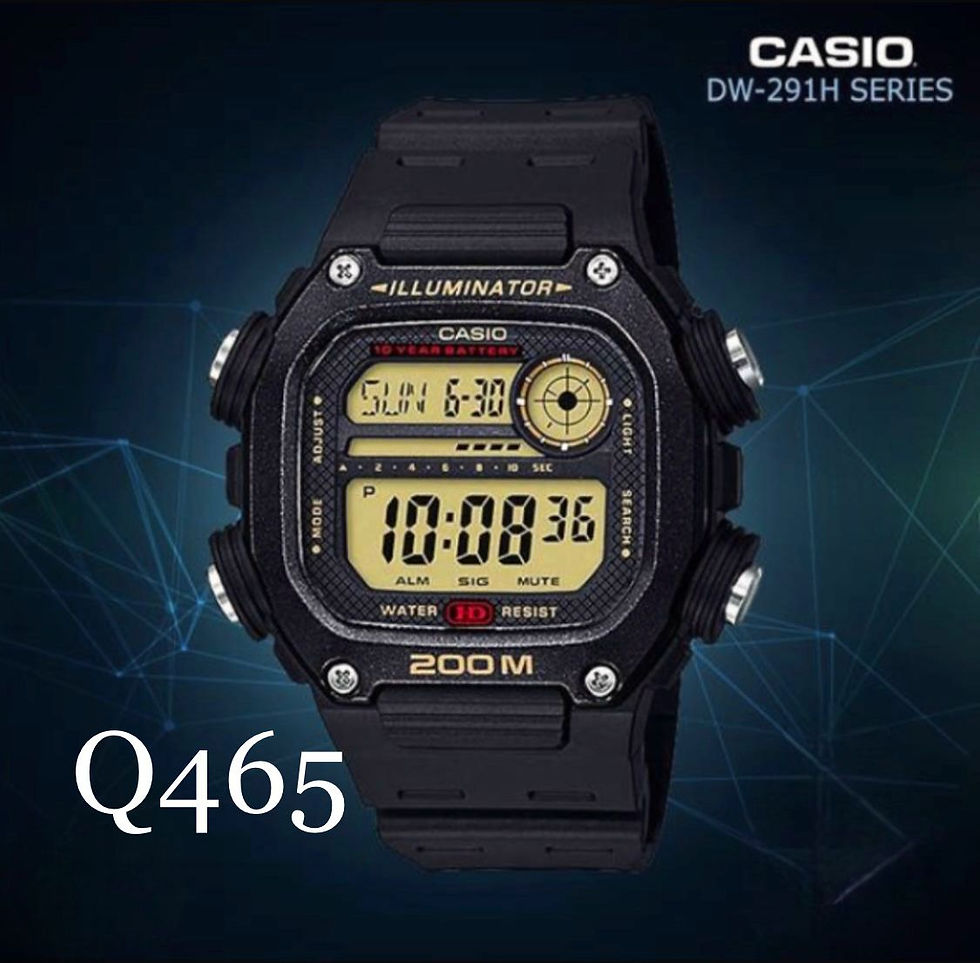 Reloj Casio DW-291H-9AV