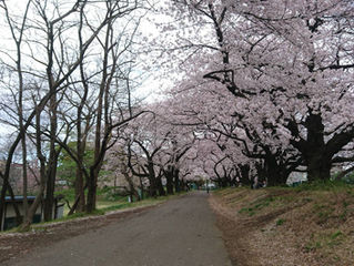 駒場キャンパスおすすめスポット