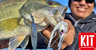 KIT（キット） | PAYFORWARD ペイフォワード公式