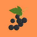 Copy of stickers (1).png