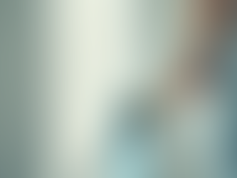 Top Rated Painters in Hayward: Expert Reviews