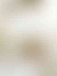 cream bathroom beadboard