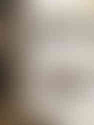 interior designer selections library