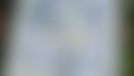 ✨ Piece and Quilt Sampler ✨