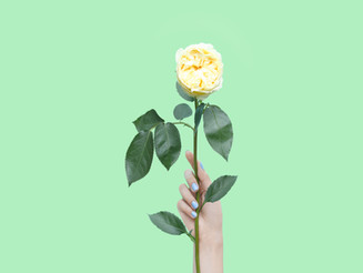 Ensinando (e aprendendo) a pedir desculpas