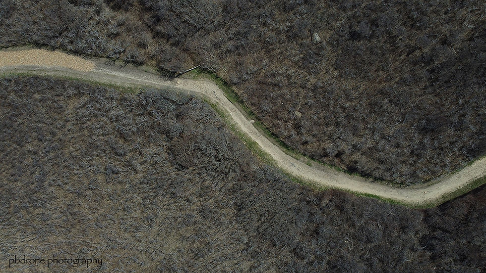 Drone Photograph in Aquinnah 