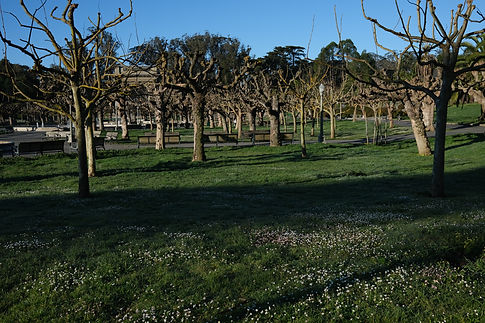 DSCF8636.JPG