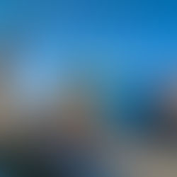 Why Georgia Aquarium is One of the Best Aquariums in the U.S.: Unique Animals, Shows, and More