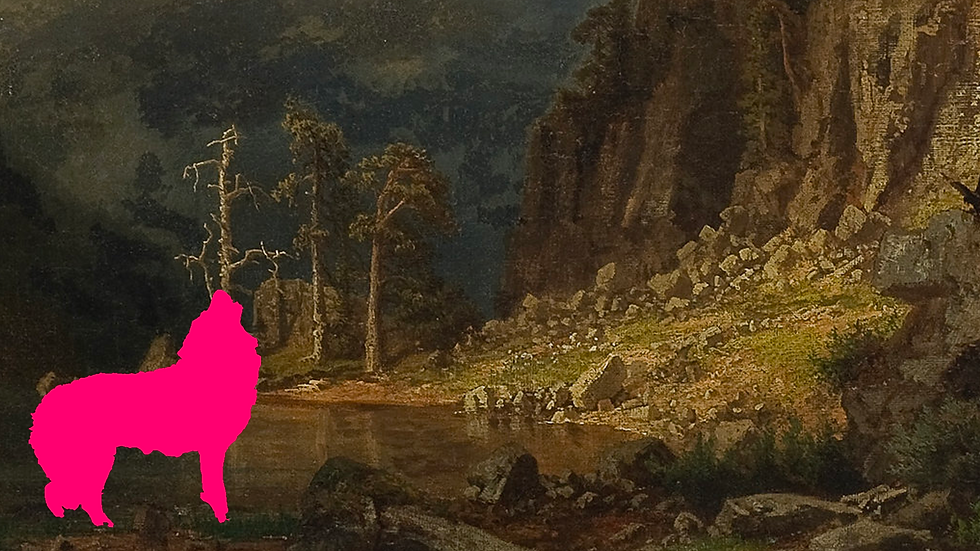 visuel paysage sans titre
