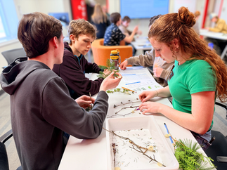 Students from Owen Sound District Secondary School try to identify native trees by their twigs.