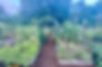 0E34EF87-8119-451A-85B9-3EAF34AD7C7D_edited.jpg