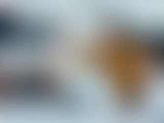 Les accords Toltèques en entreprise : faites performer les relations de vos équipes