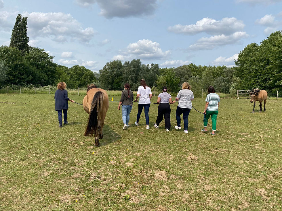 Atelier « Cohésion » : Créer ensemble avec le cheval !