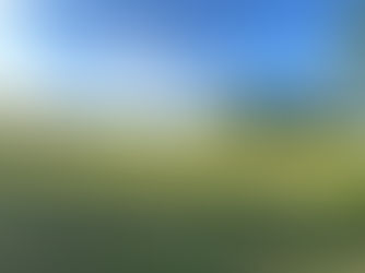 Une pause bien-être au milieu du troupeau